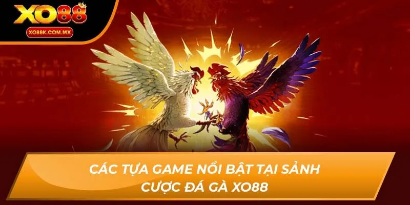 đá gà xo88