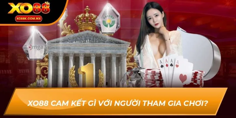 về chúng tôi